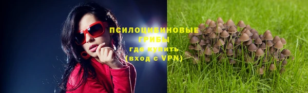 гашиш Карпинск