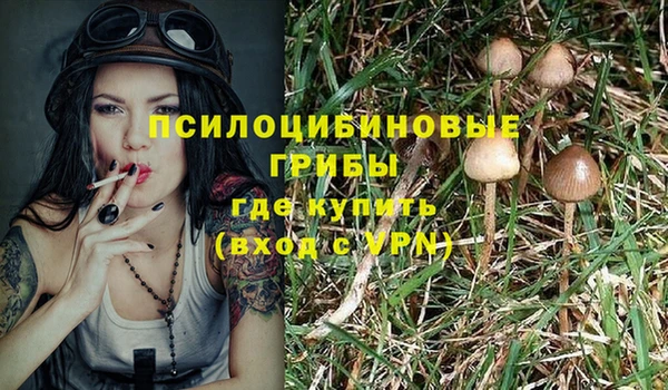 гашиш Карпинск